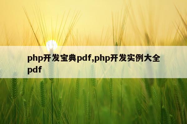 php开发宝典pdf,php开发实例大全pdf
