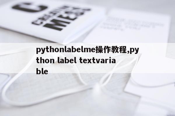 pythonlabelme操作教程,python label textvariable