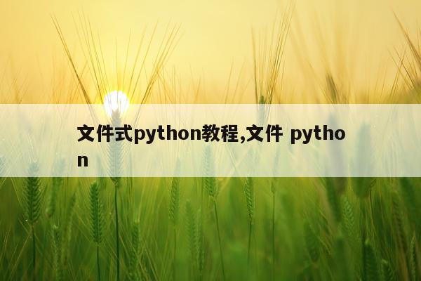 文件式python教程,文件 python