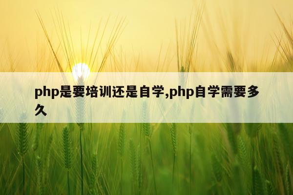 php是要培训还是自学,php自学需要多久