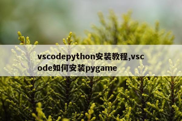 vscodepython安装教程,vscode如何安装pygame