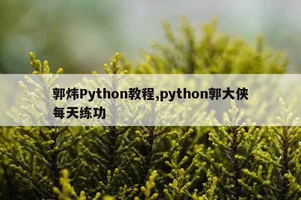 郭炜Python教程,python郭大侠每天练功