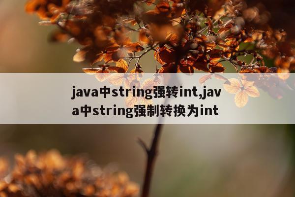 java中string强转int,java中string强制转换为int