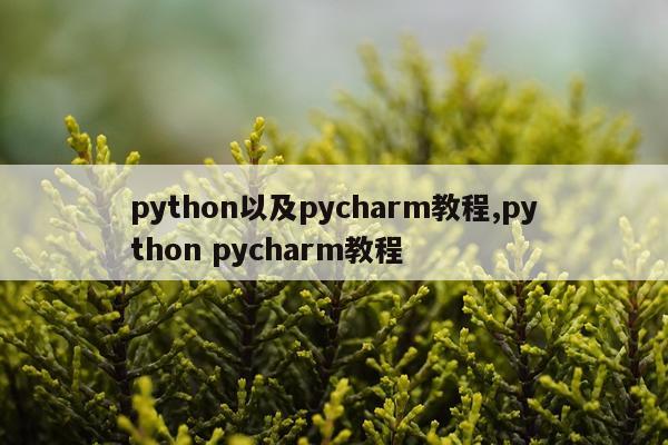 python以及pycharm教程,python pycharm教程
