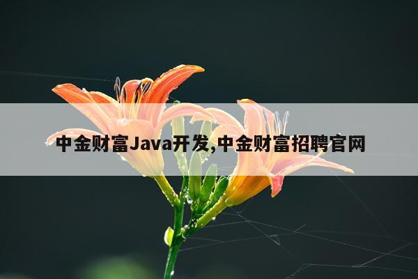 中金财富Java开发,中金财富招聘官网