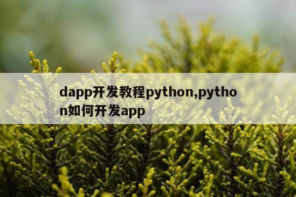 dapp开发教程python,python如何开发app