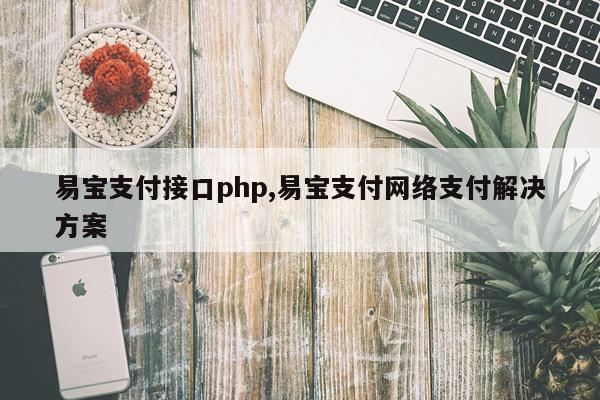 易宝支付接口php,易宝支付网络支付解决方案
