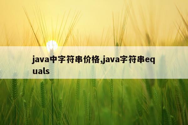java中字符串价格,java字符串equals
