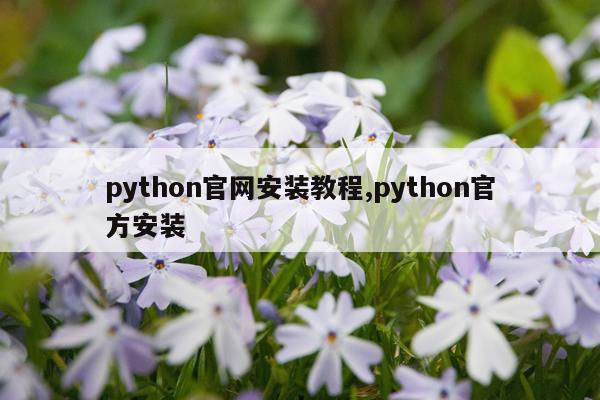 python官网安装教程,python官方安装