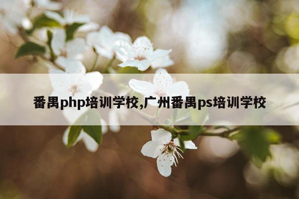 番禺php培训学校,广州番禺ps培训学校