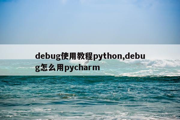debug使用教程python,debug怎么用pycharm