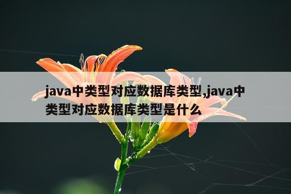 java中类型对应数据库类型,java中类型对应数据库类型是什么