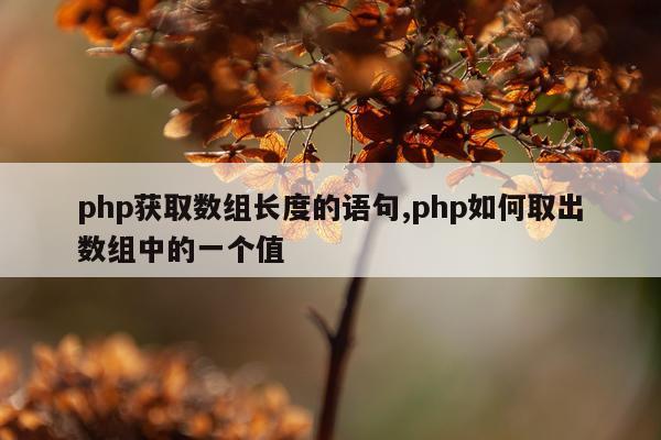 php获取数组长度的语句,php如何取出数组中的一个值