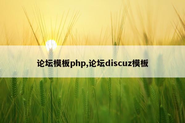 论坛模板php,论坛discuz模板