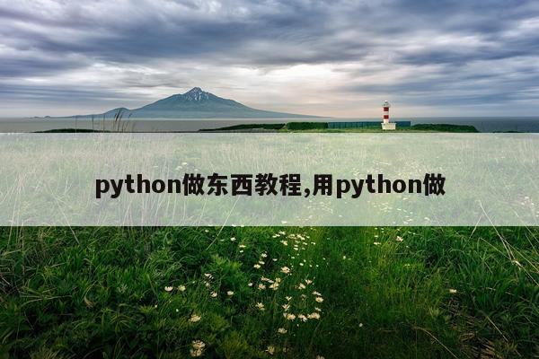 python做东西教程,用python做