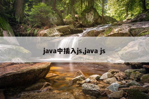 java中插入js,java js