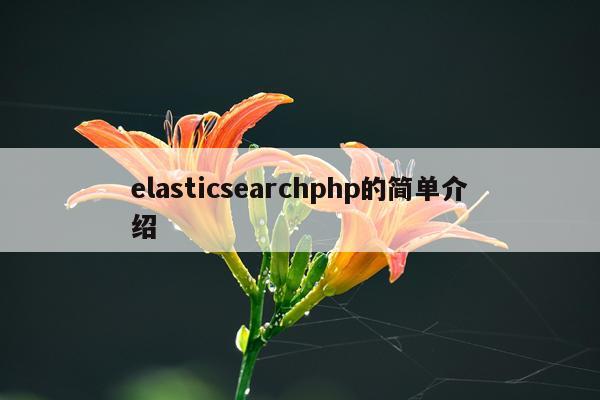 elasticsearchphp的简单介绍