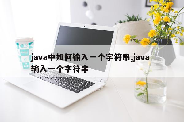 java中如何输入一个字符串,java 输入一个字符串
