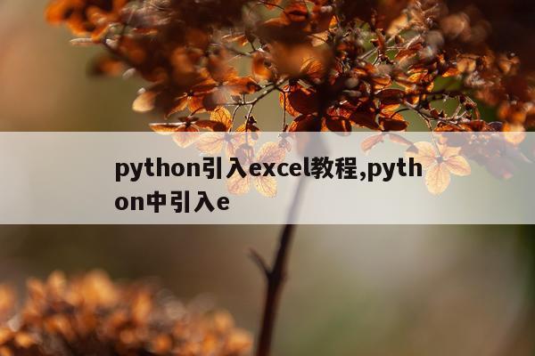 python引入excel教程,python中引入e