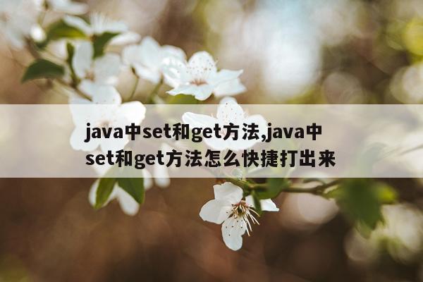 java中set和get方法,java中set和get方法怎么快捷打出来