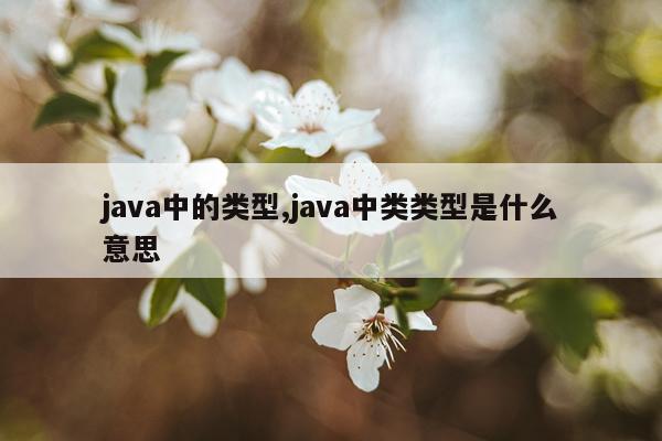 java中的类型,java中类类型是什么意思