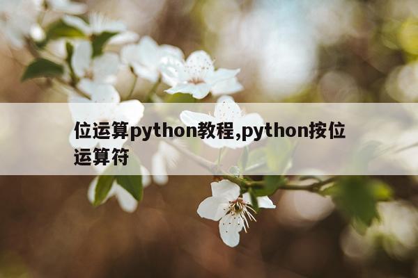 位运算python教程,python按位运算符
