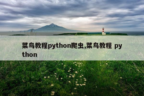 菜鸟教程python爬虫,菜鸟教程 python