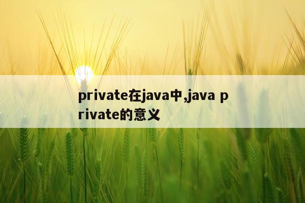private在java中,java private的意义