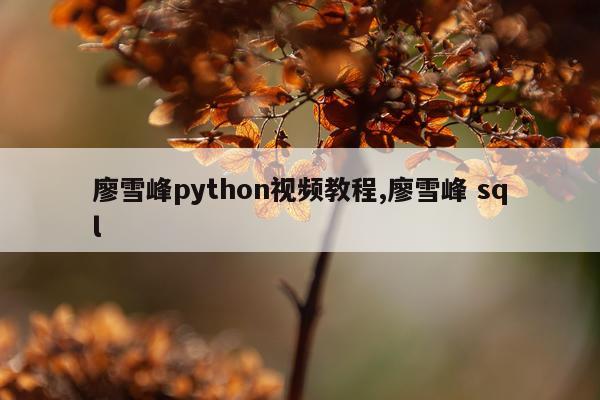 廖雪峰python视频教程,廖雪峰 sql