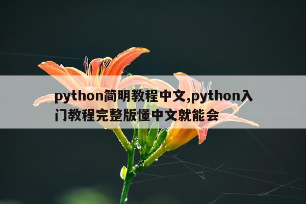 python简明教程中文,python入门教程完整版懂中文就能会
