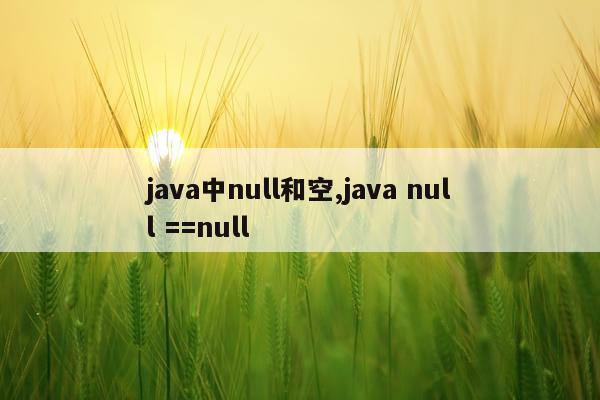 java中null和空,java null ==null