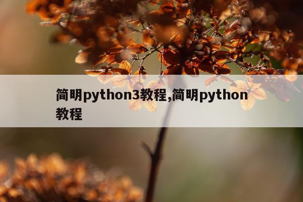 简明python3教程,简明python教程