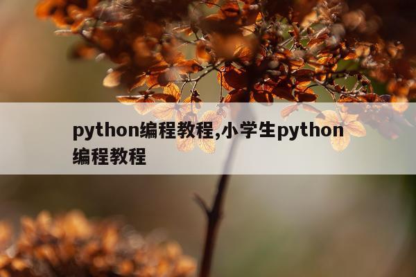 python编程教程,小学生python编程教程