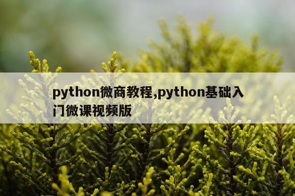 python微商教程,python基础入门微课视频版