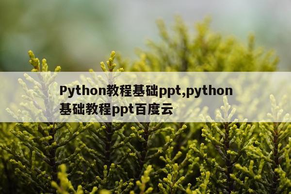 Python教程基础ppt,python基础教程ppt百度云