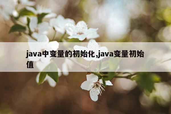 java中变量的初始化,java变量初始值