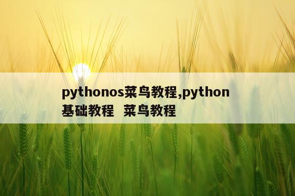 pythonos菜鸟教程,python 基础教程 菜鸟教程