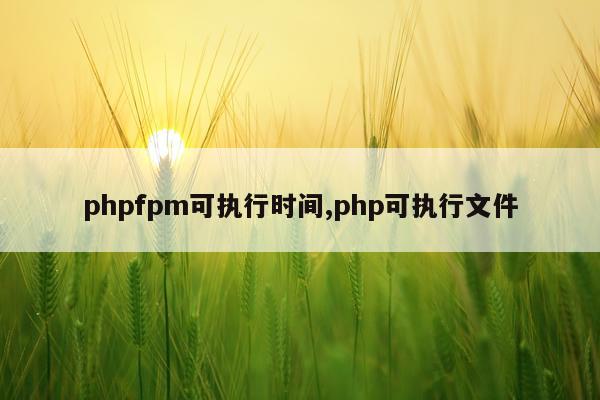 phpfpm可执行时间,php可执行文件