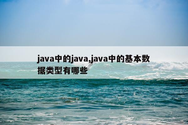 java中的java,java中的基本数据类型有哪些