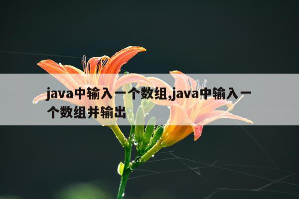 java中输入一个数组,java中输入一个数组并输出