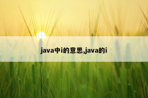 java中i的意思,java的i