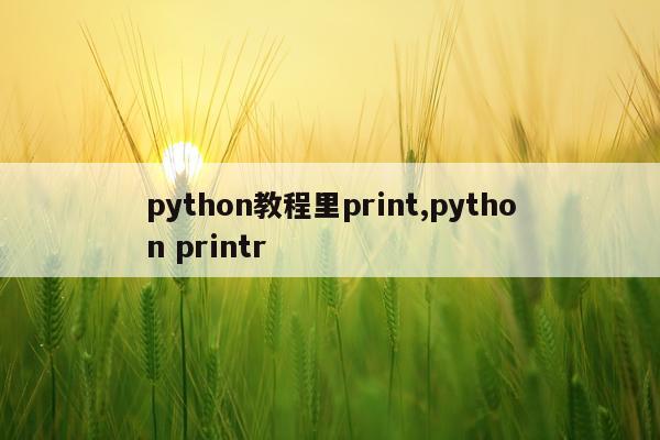 python教程里print,python printr