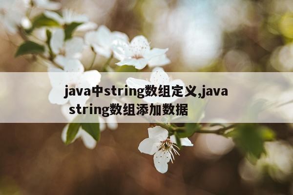 java中string数组定义,java string数组添加数据