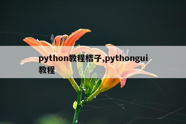 python教程桔子,pythongui教程