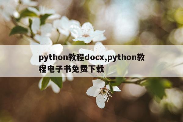 python教程docx,python教程电子书免费下载