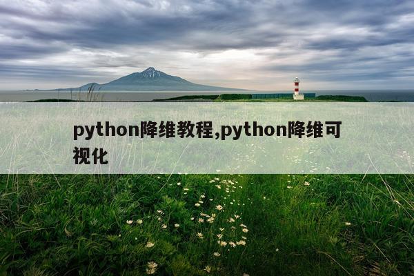 python降维教程,python降维可视化