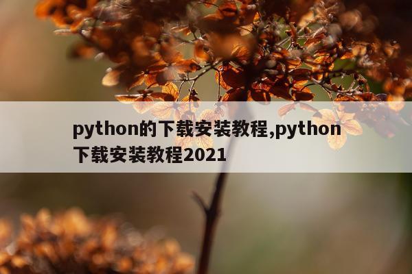 python的下载安装教程,python下载安装教程2021