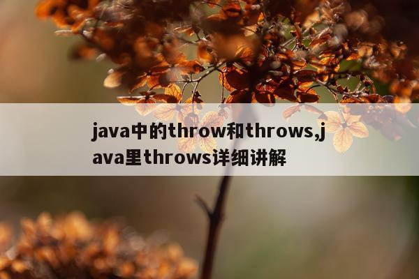 java中的throw和throws,java里throws详细讲解