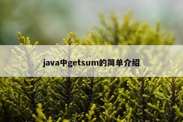 java中getsum的简单介绍