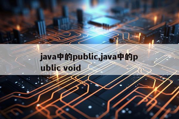 java中的public,java中的public void